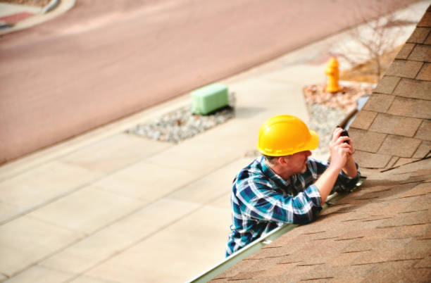 Best Flat Roof Repair Services  in Lake Leann, MI