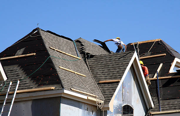 Best Local Roofing Companies  in Lake Leann, MI