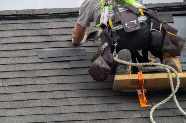 Best Roof Maintenance Services  in Lake Leann, MI