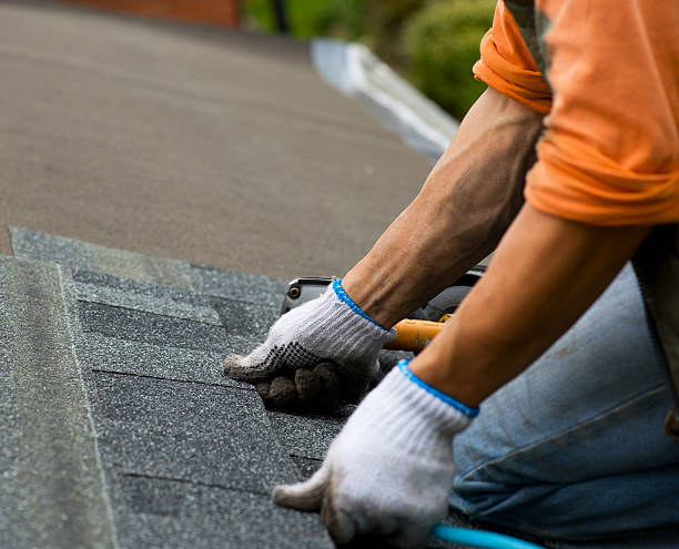 Best Roof Restoration Services  in Lake Leann, MI