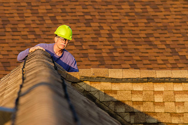 Best Roof Repair Services  in Lake Leann, MI
