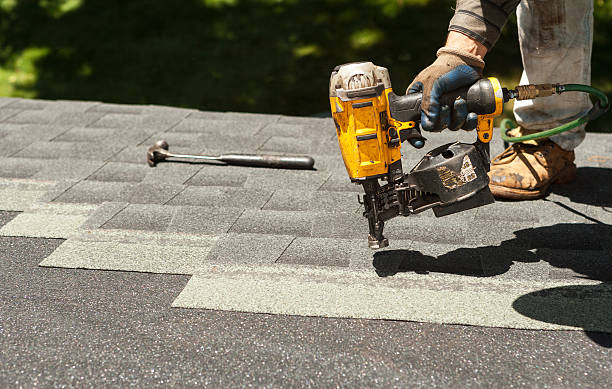 Best Roof Leak Repair  in Lake Leann, MI